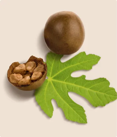 AlluMonk natural sugar replacement powder