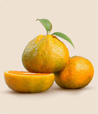 Fresh Citrus limonia mandarin lemon