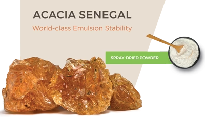 Acacia Senegal Spray-Dried Powder