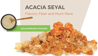 Acacia Seyal Agglomerated